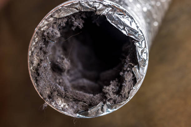 Best Best Air Duct Cleaning Company  in Herald Harbor, MD